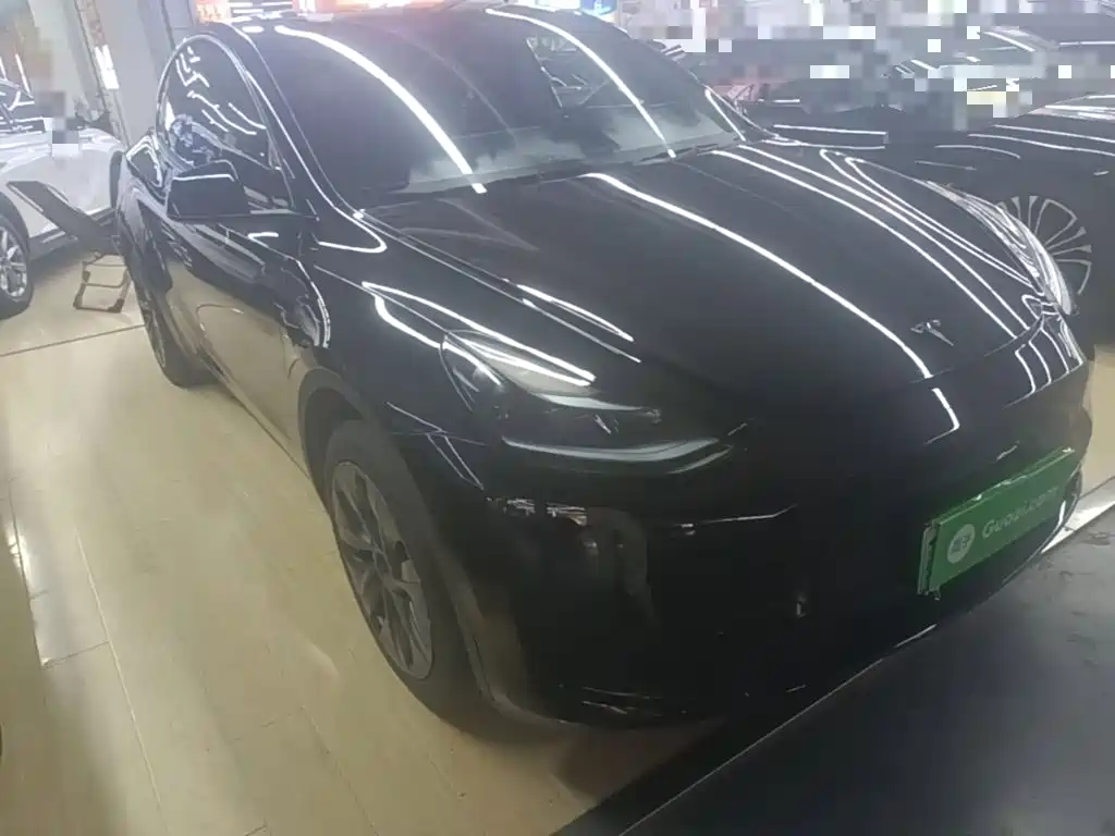 Tesla Model Y — миниатюра 4