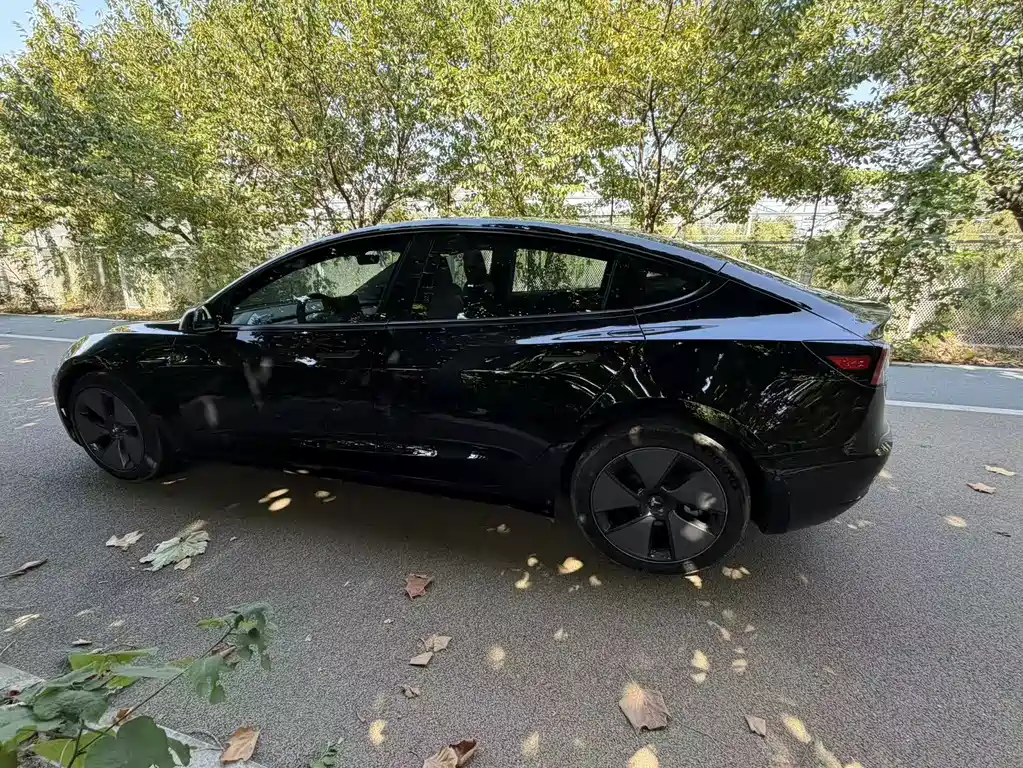Tesla Model 3 — миниатюра 15