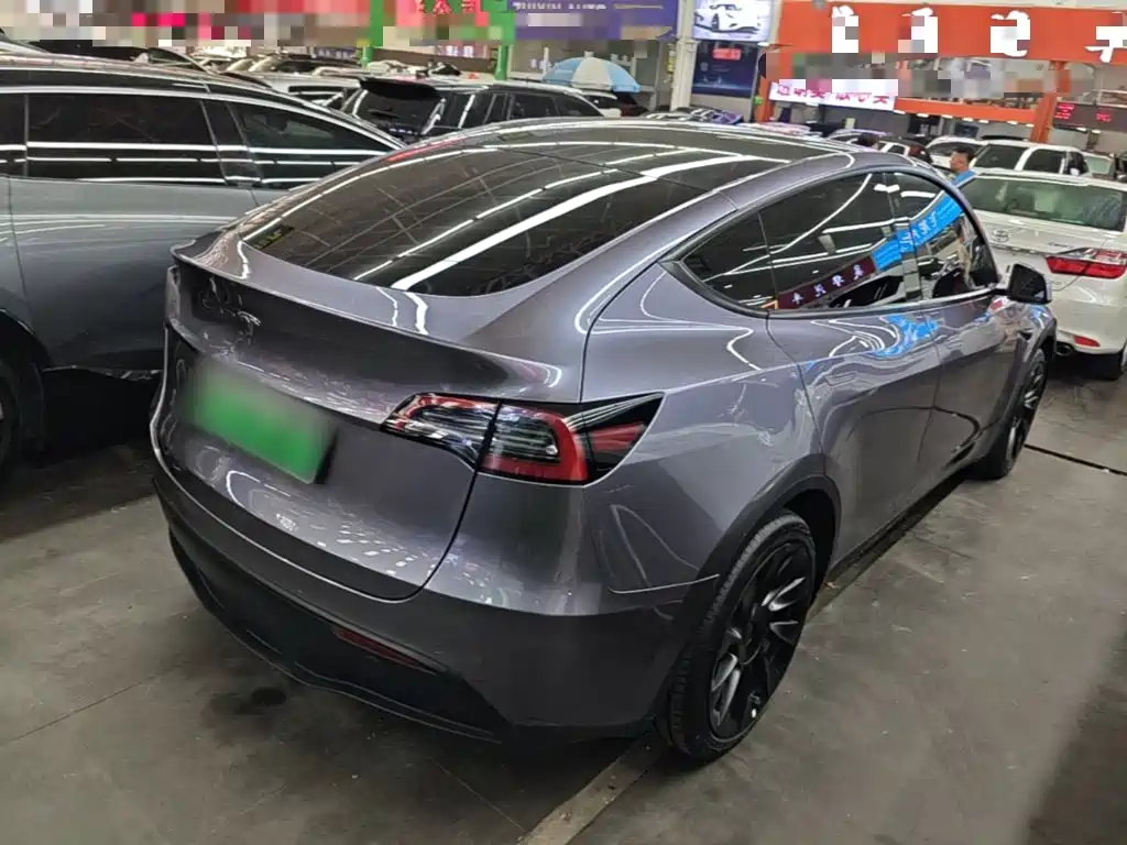 Tesla Model Y — миниатюра 7