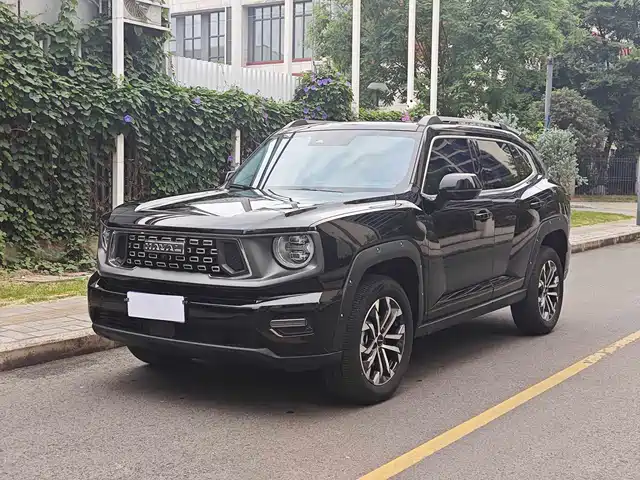 2025 Haval Big Dog