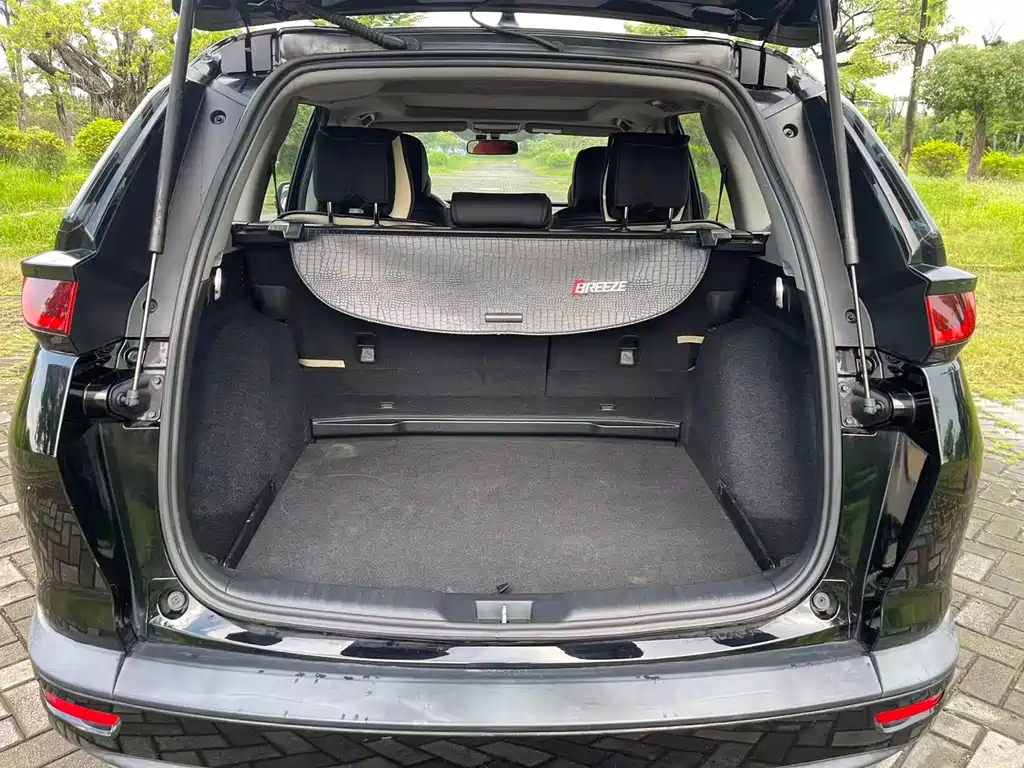 Honda Breeze — миниатюра 13