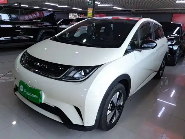 2024 BYD Dolphin