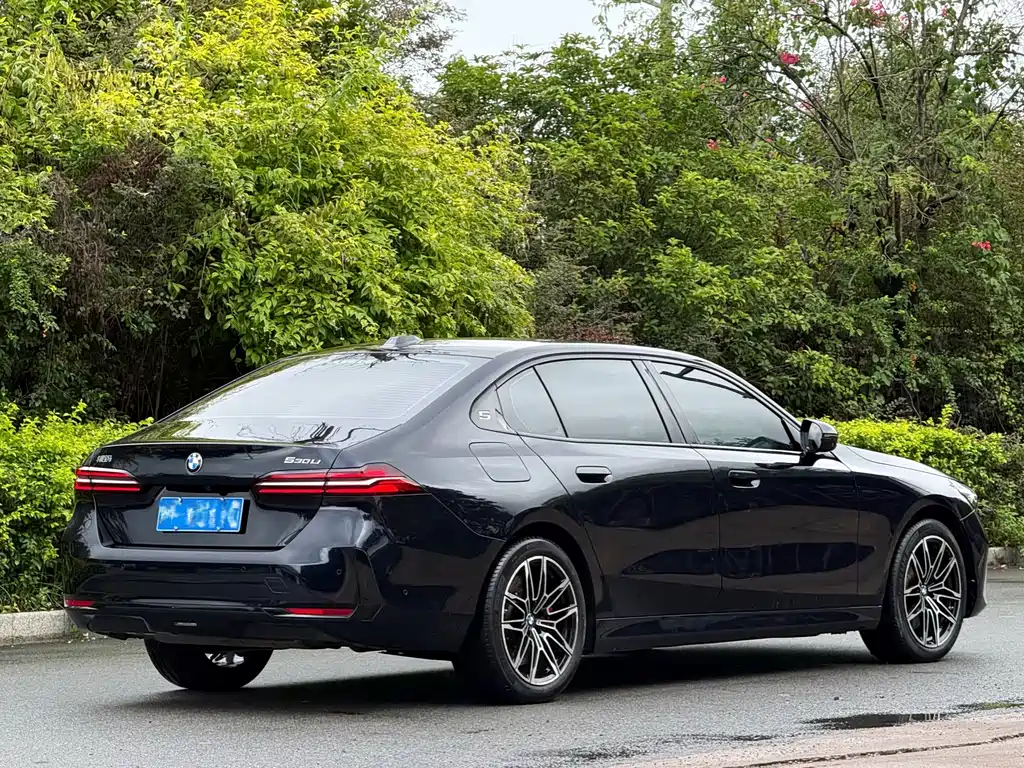BMW 5 Series — миниатюра 7