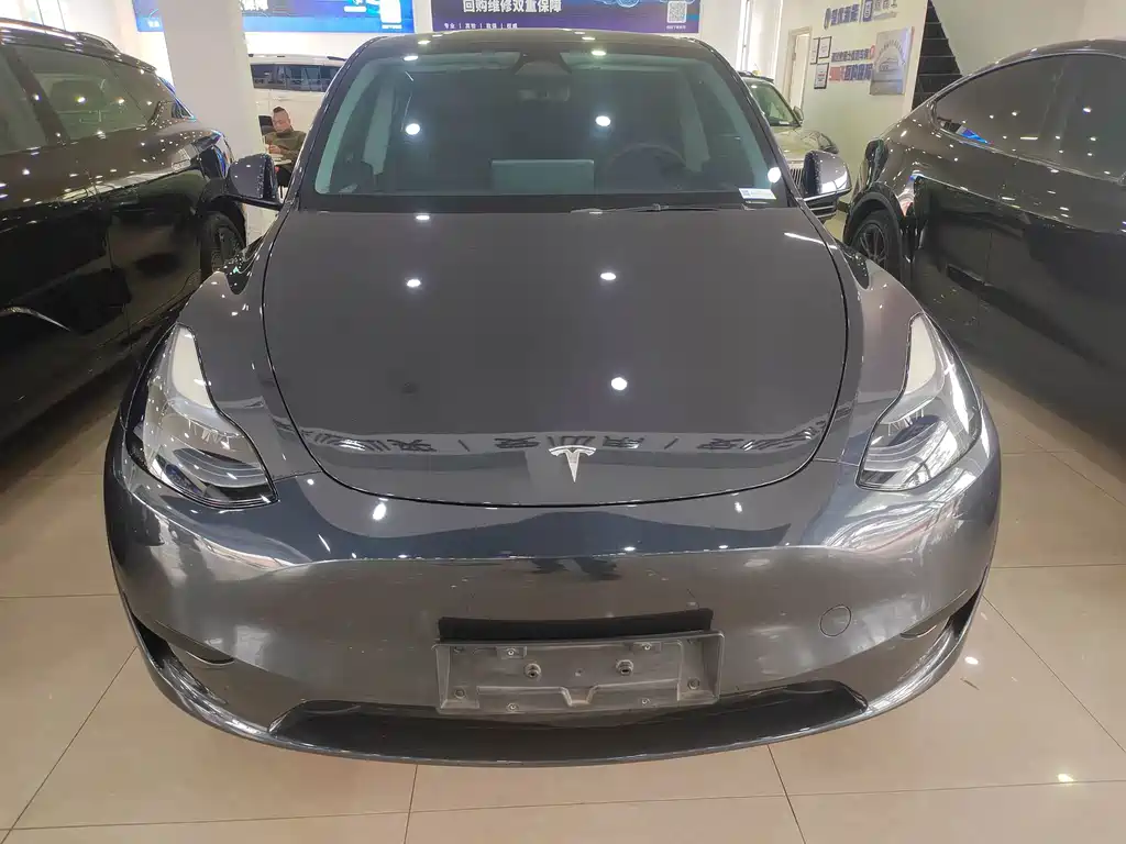 Tesla Model Y — миниатюра 2