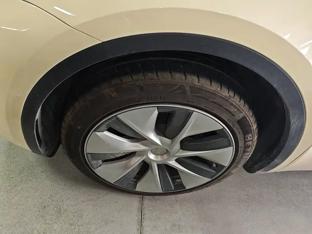 Tesla Model Y — миниатюра 23