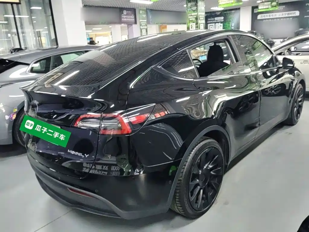 Tesla Model Y — миниатюра 7