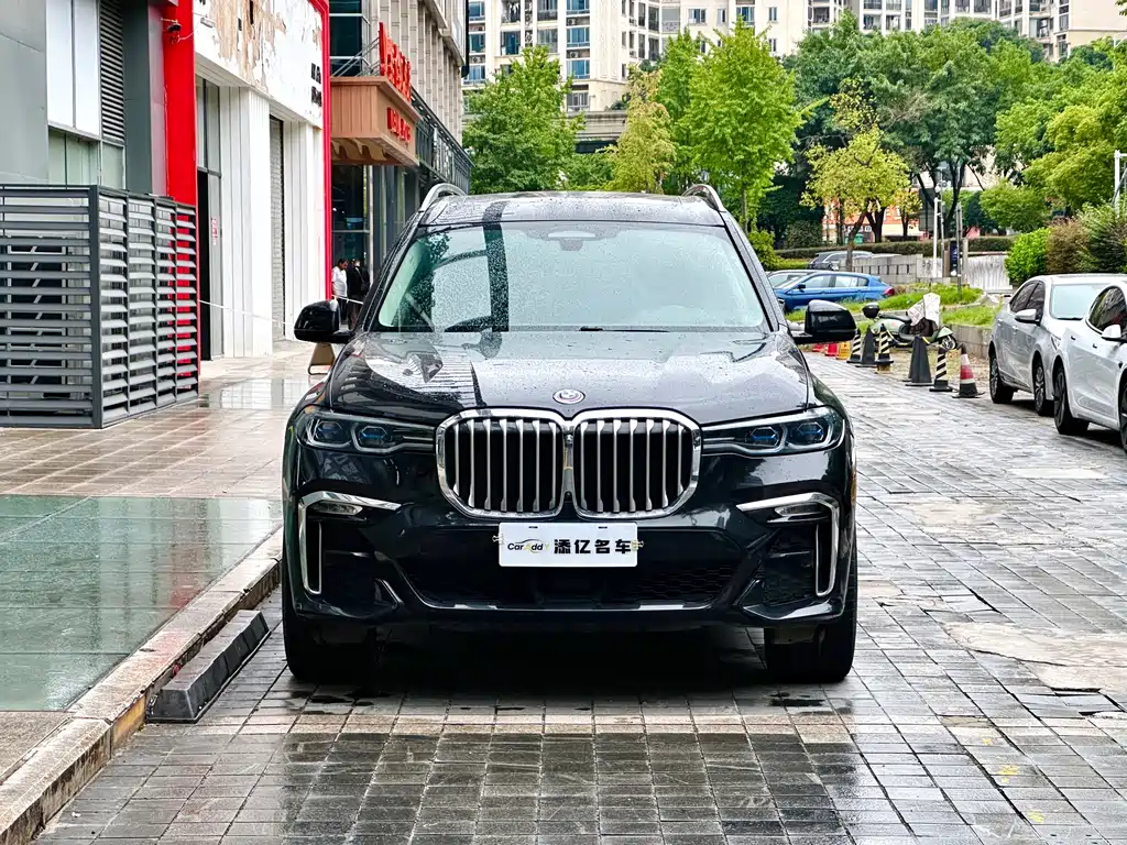 BMW X7 — миниатюра 2