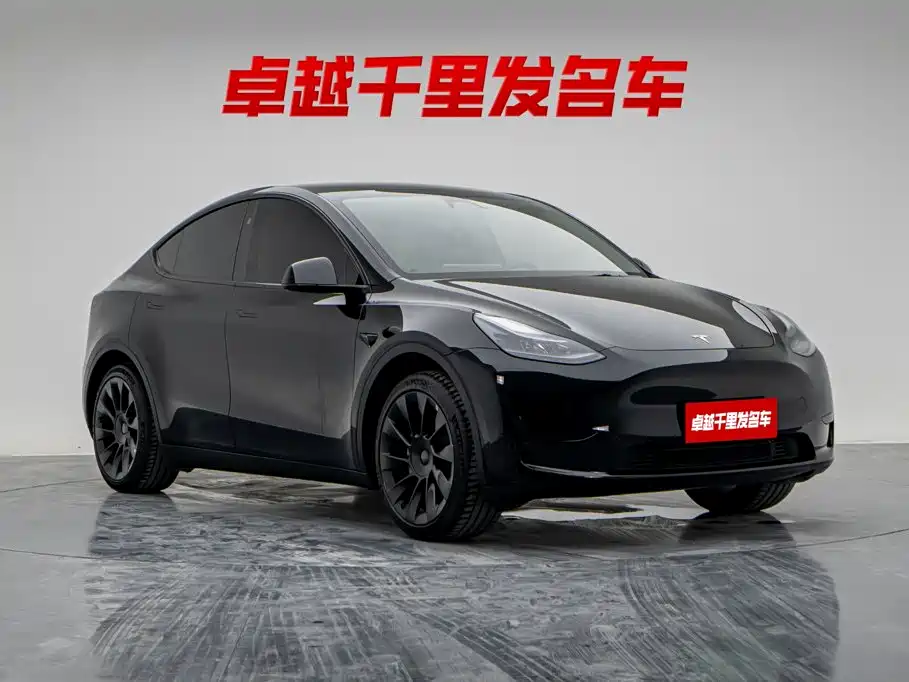 Tesla Model Y — миниатюра 3