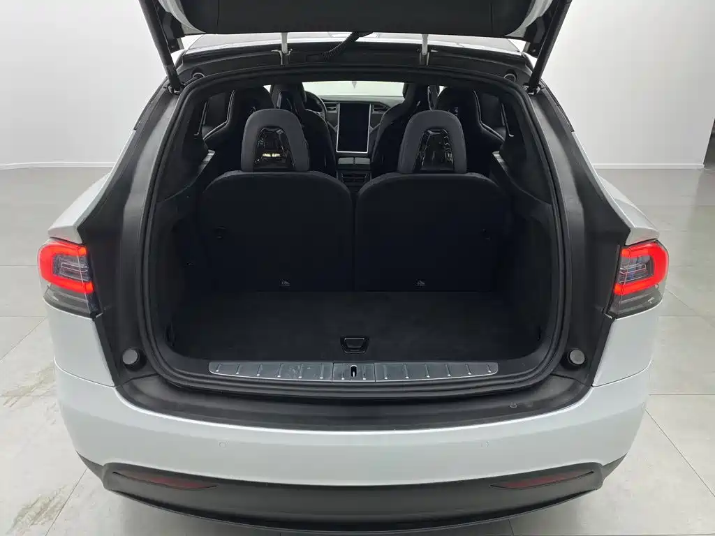 Tesla Model X — миниатюра 3