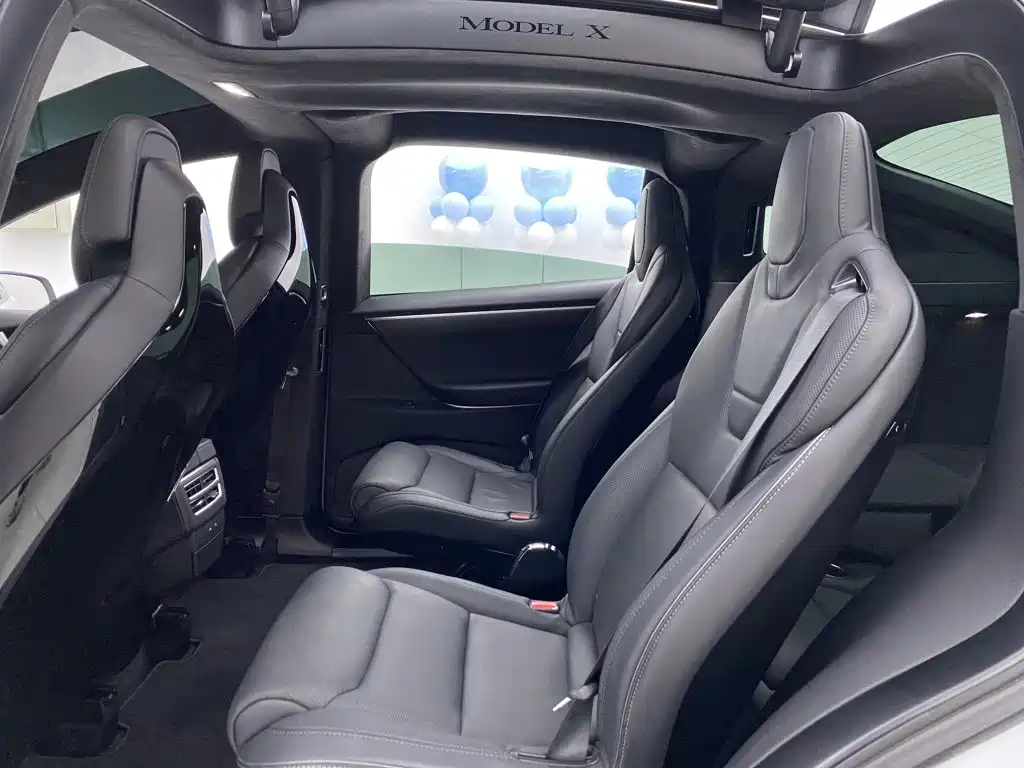 Tesla Model X — миниатюра 22