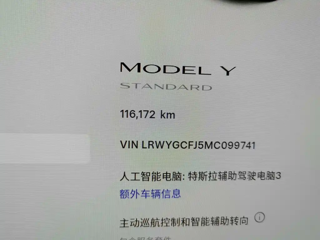 Tesla Model Y — миниатюра 13