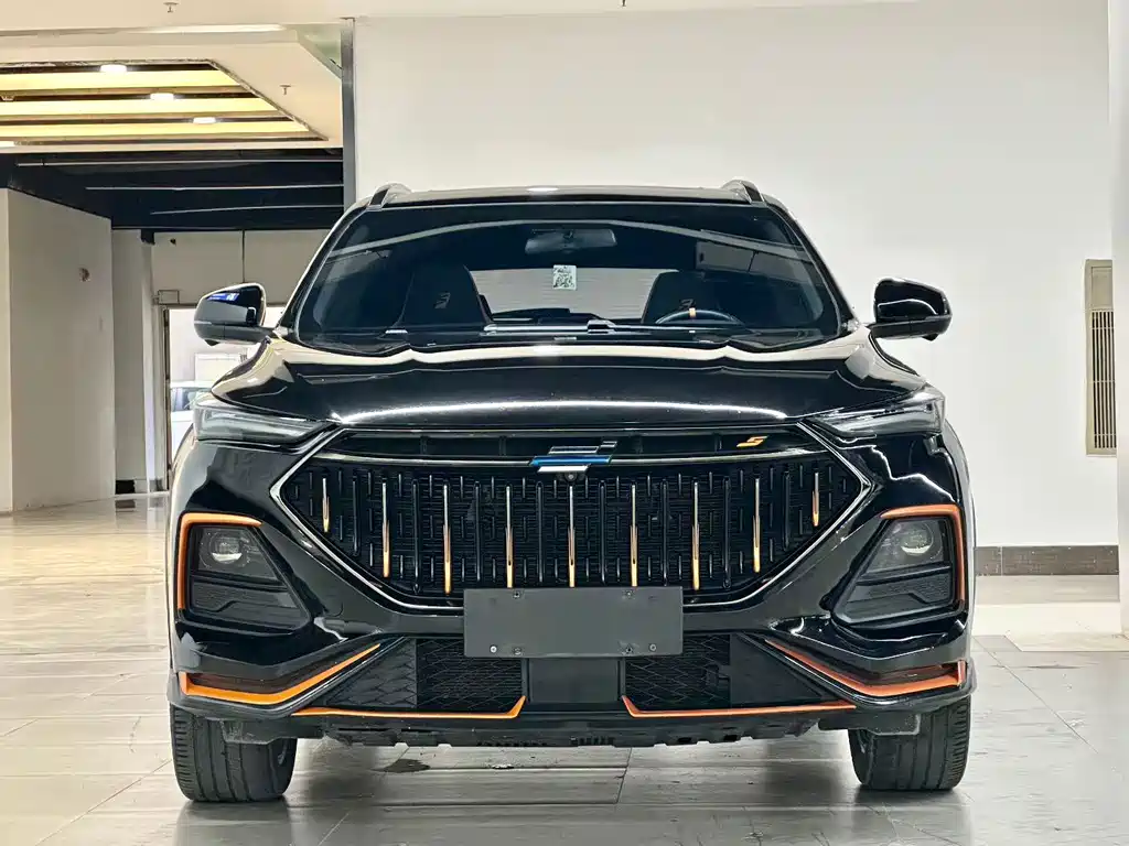 Oshan Oushang X5 — миниатюра 2