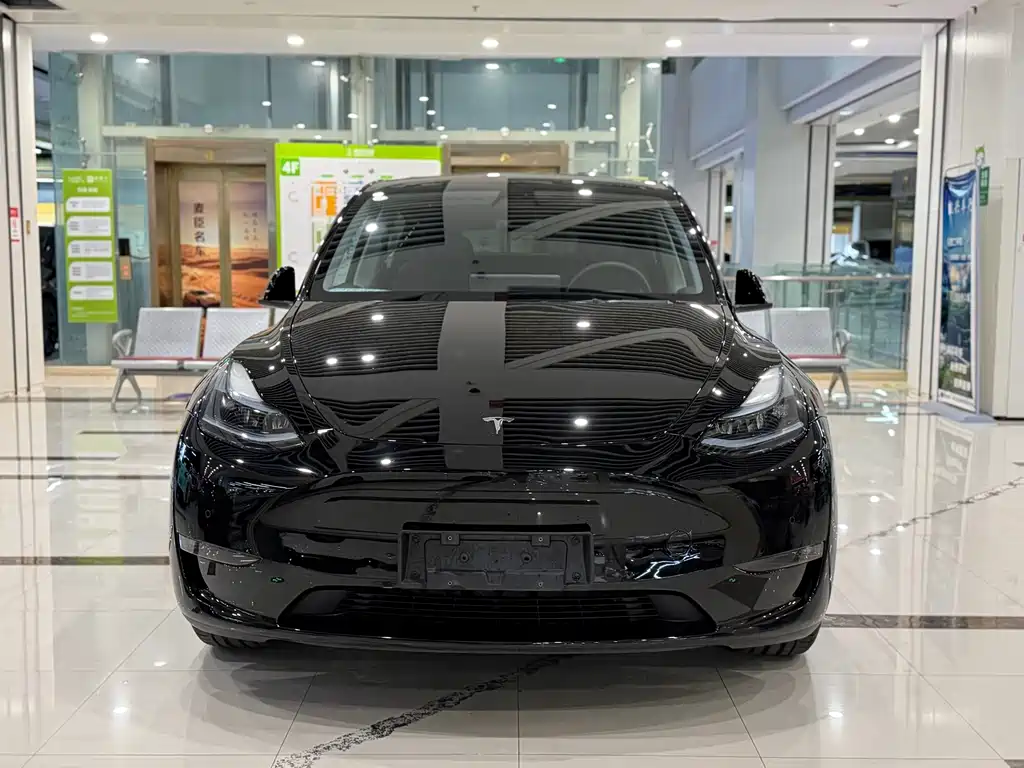 Tesla Model Y — миниатюра 2