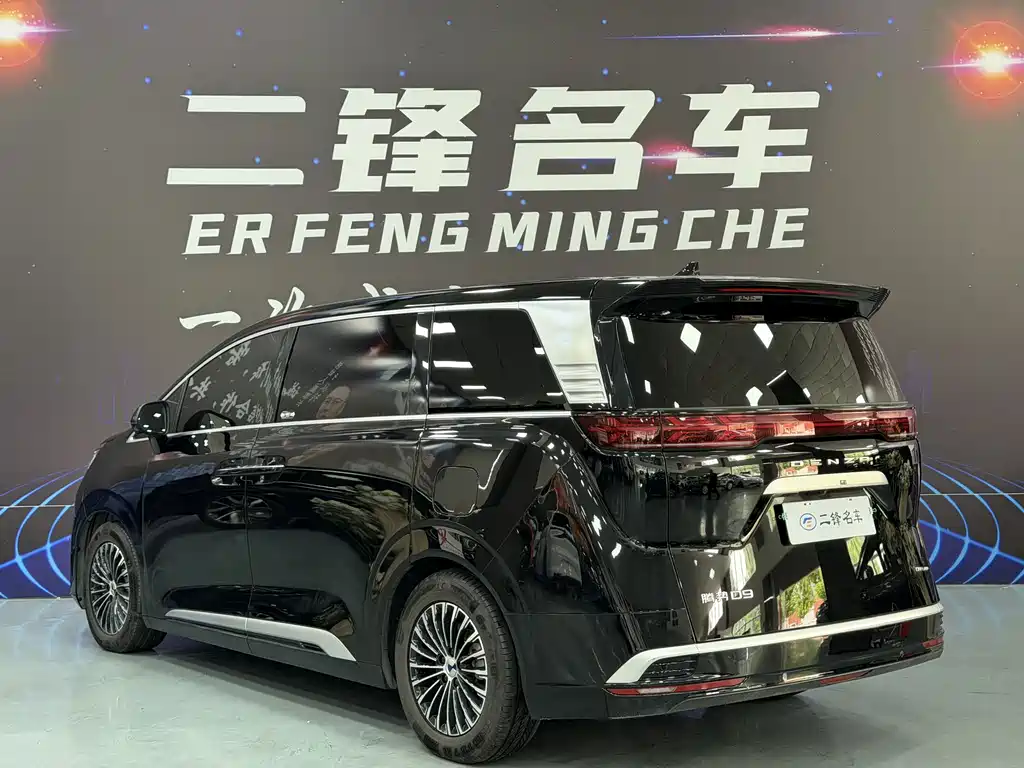 Denza Denza D9 — миниатюра 6