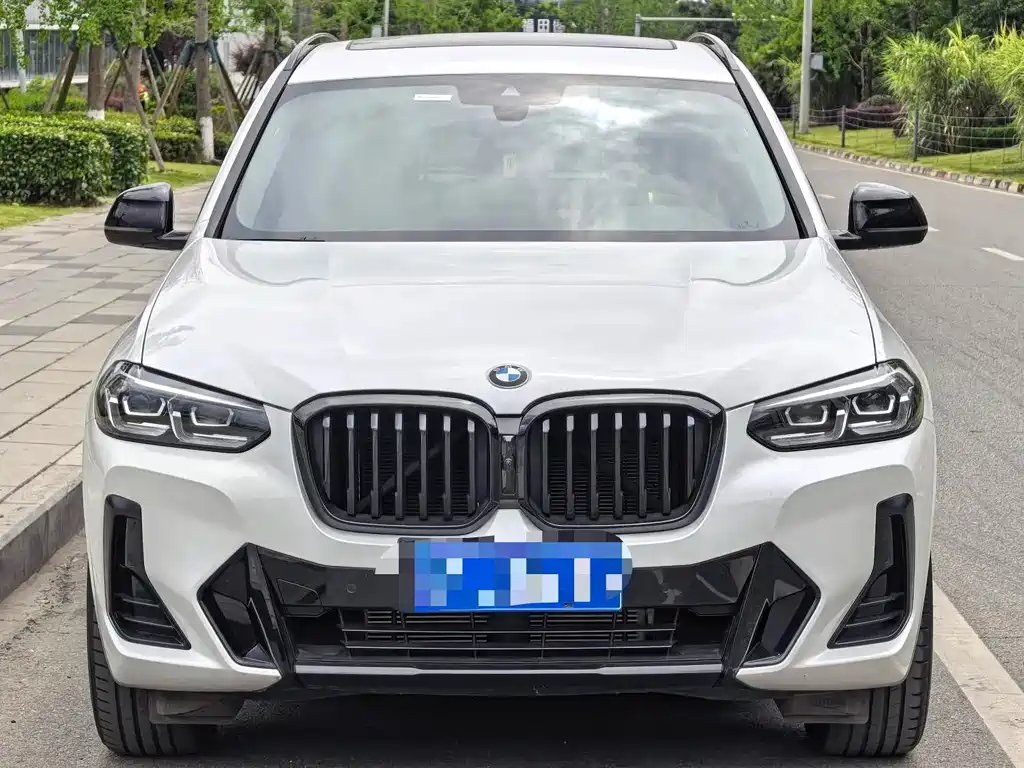 BMW X3 — миниатюра 2
