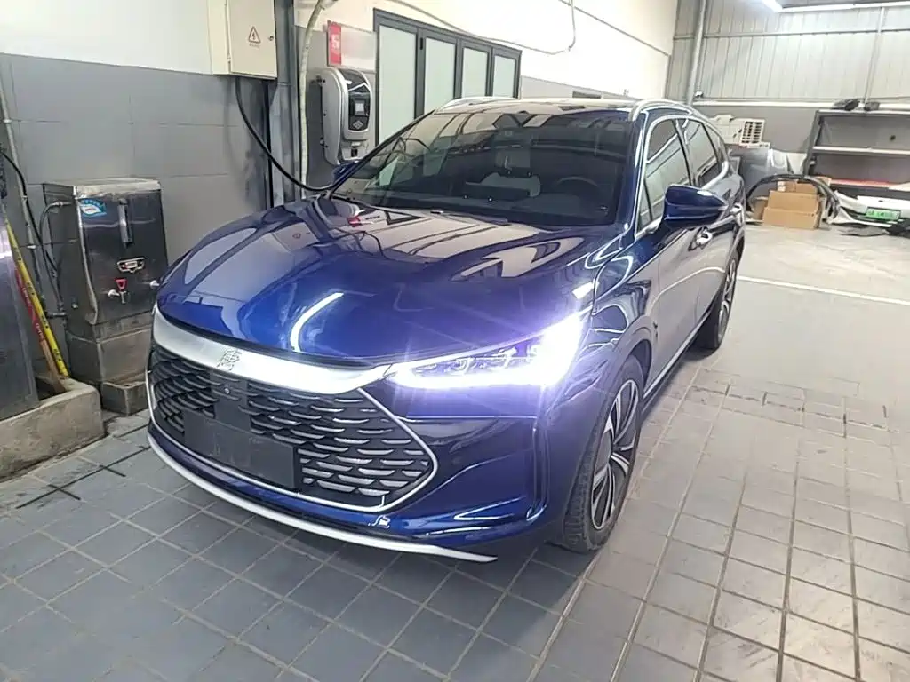 BYD Tang New Energy — миниатюра 2
