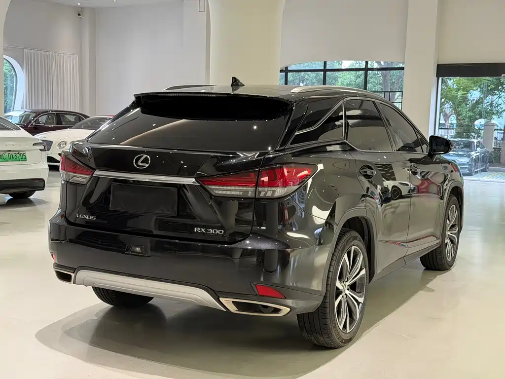 Lexus RX — миниатюра 6