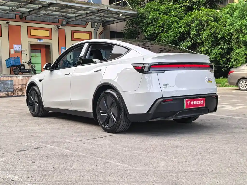Tesla Model Y — миниатюра 15