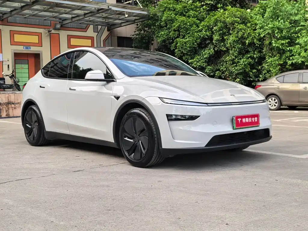 Tesla Model Y — миниатюра 3