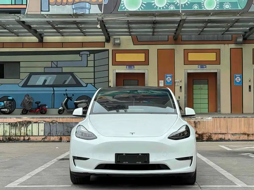 Tesla Model Y — миниатюра 2