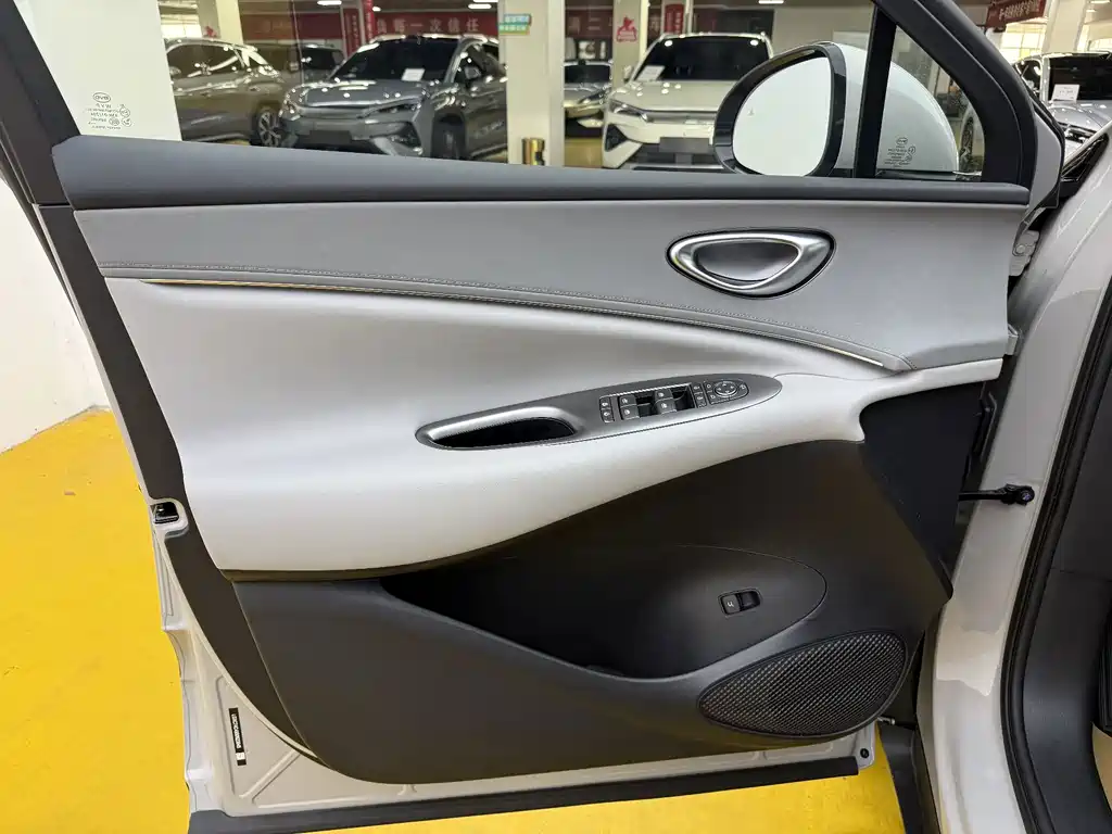 BYD Haisi 06 — миниатюра 3
