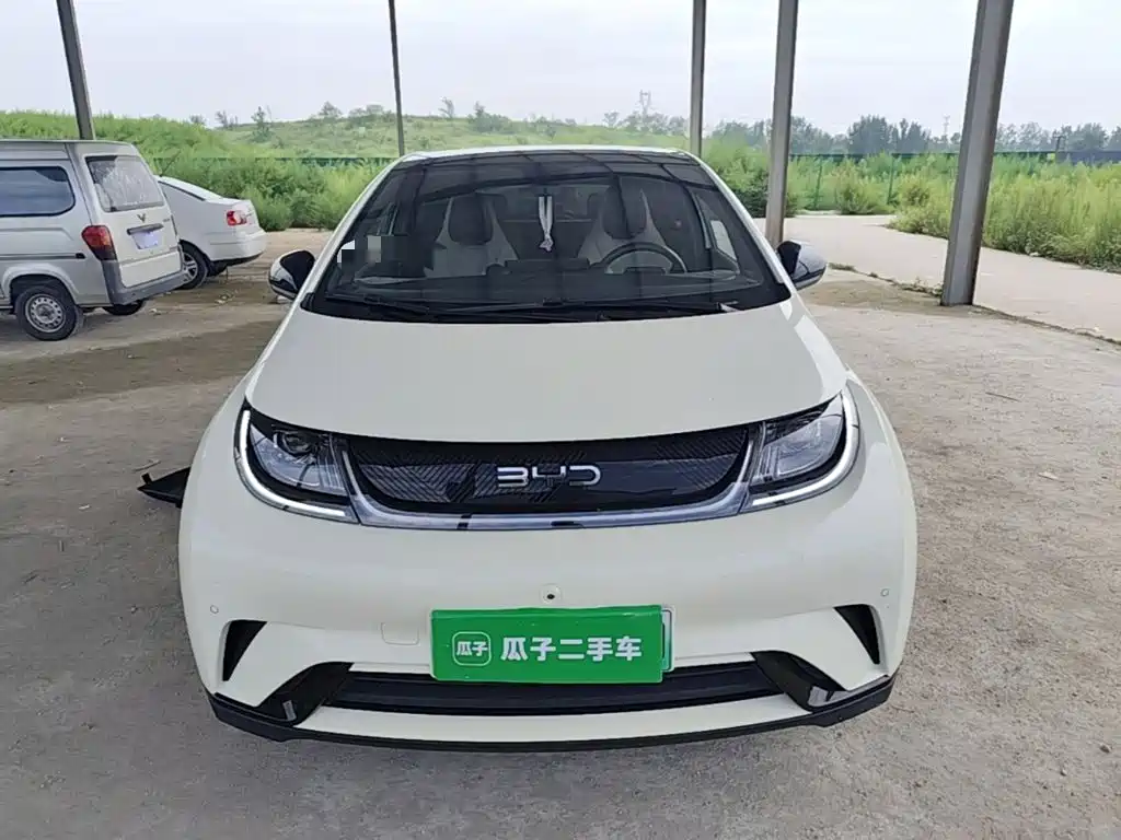 BYD Dolphin — миниатюра 3