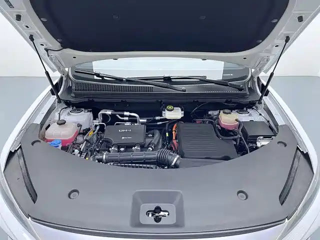 BYD Pro — миниатюра 17