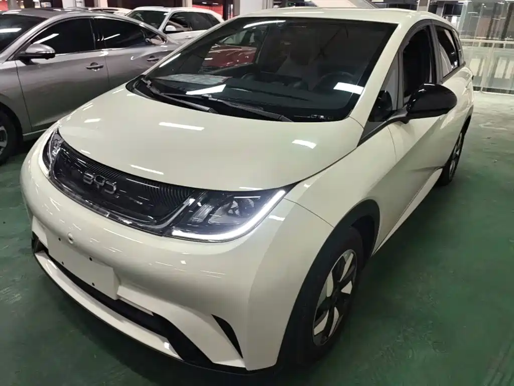 BYD Dolphin — миниатюра 2