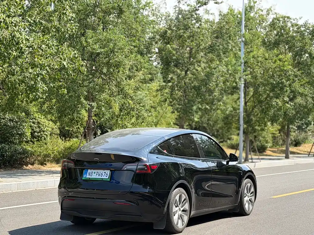 Tesla Model Y — миниатюра 14