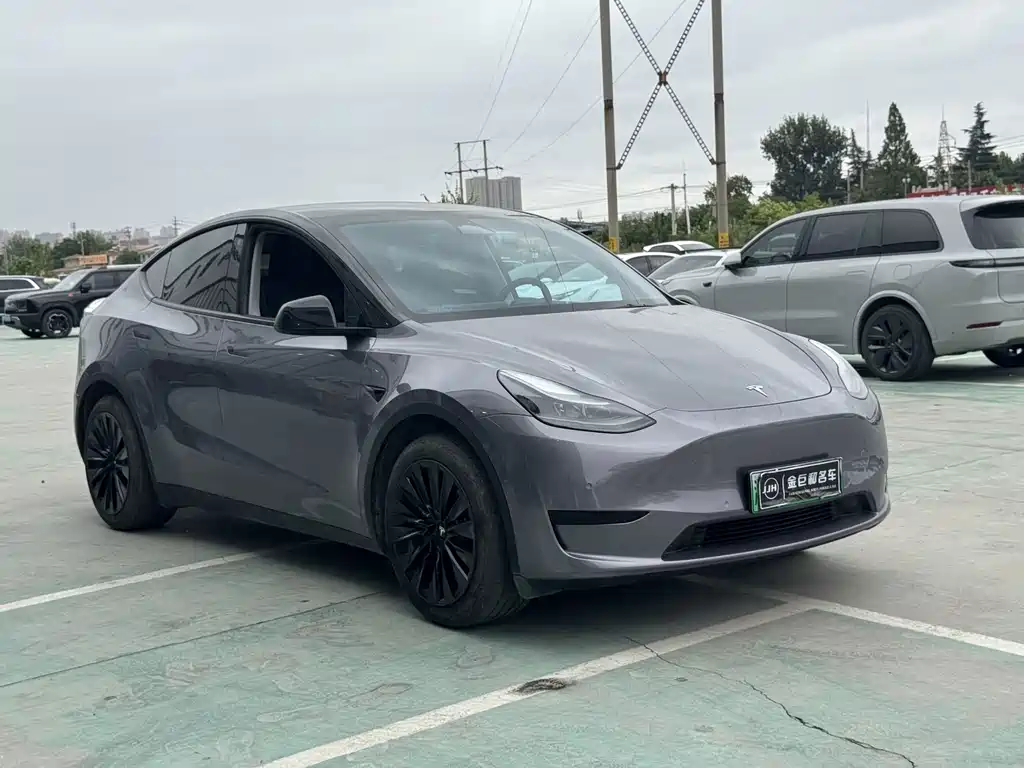 Tesla Model Y — миниатюра 3