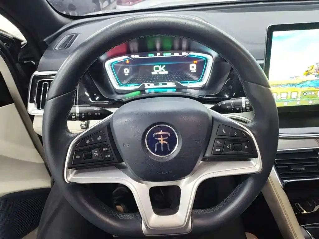 BYD PLUS New Energy — миниатюра 11