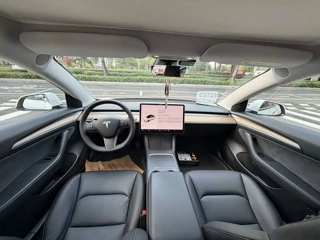 Tesla Model 3 — миниатюра 6