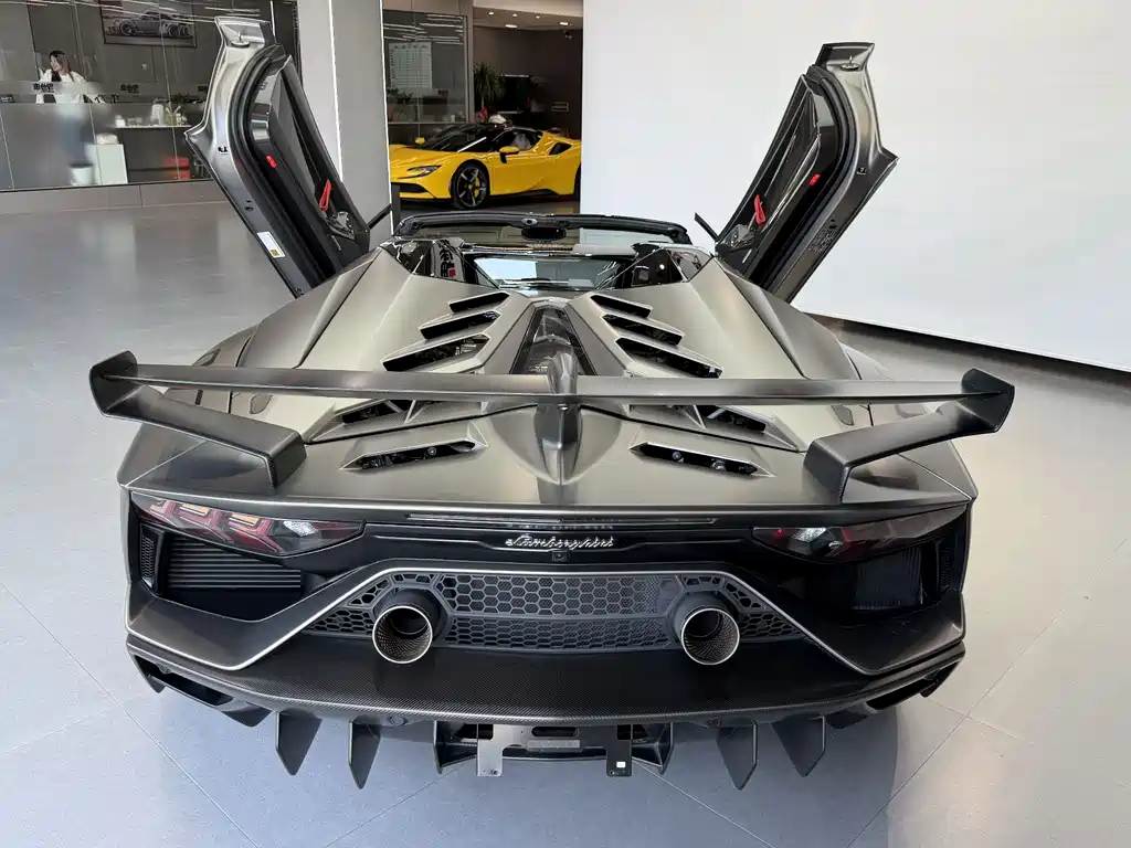 Lamborghini Aventador Aventador SVJ Roadster, фото 5