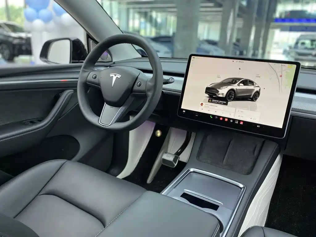 Tesla Model Y — миниатюра 35