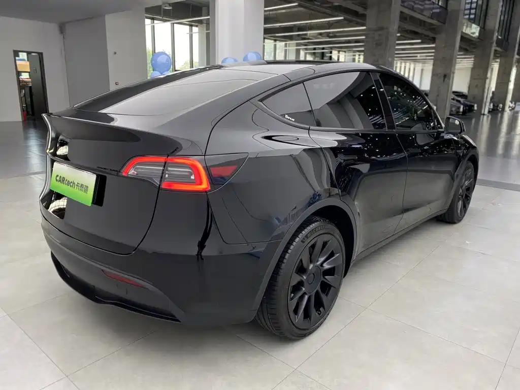 Tesla Model Y — миниатюра 4