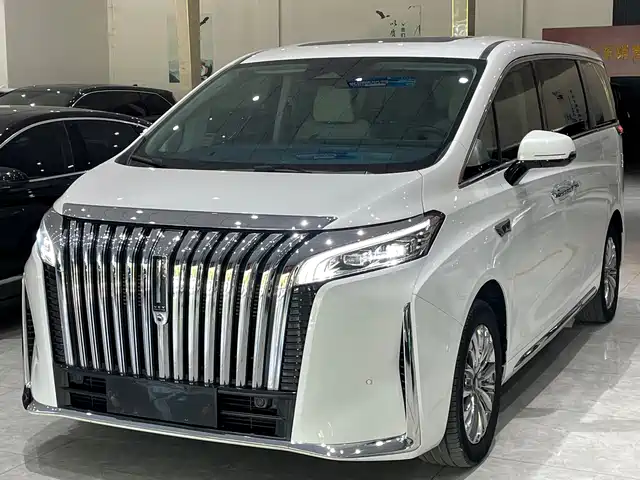 2024 Wey Gaoshan