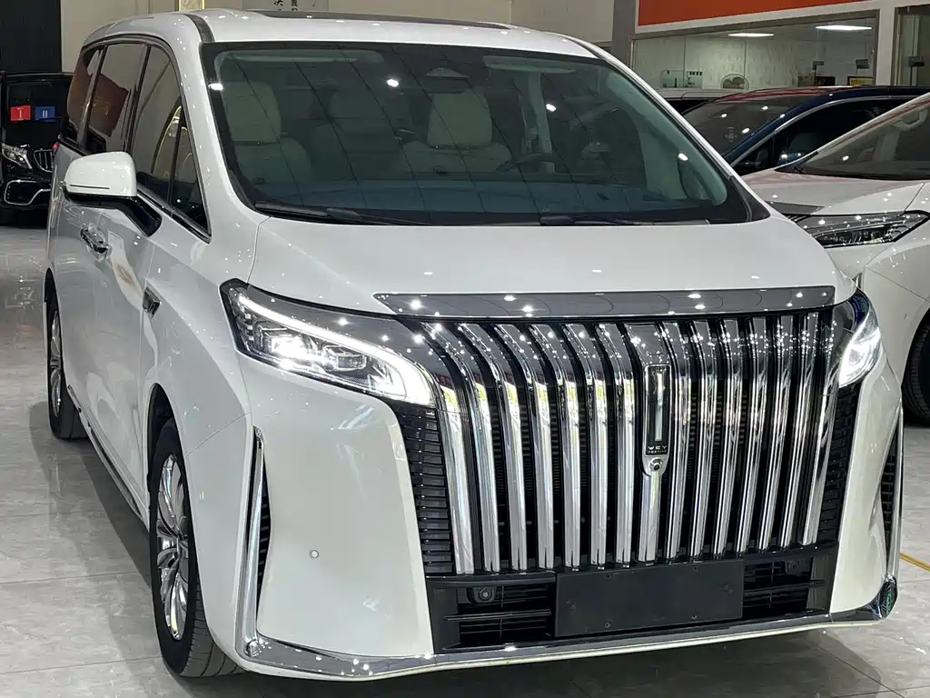Wey Gaoshan New Energy 4WD Flagship Edition, фото 3