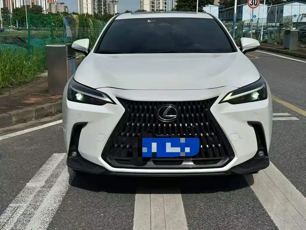Lexus NX — миниатюра 2