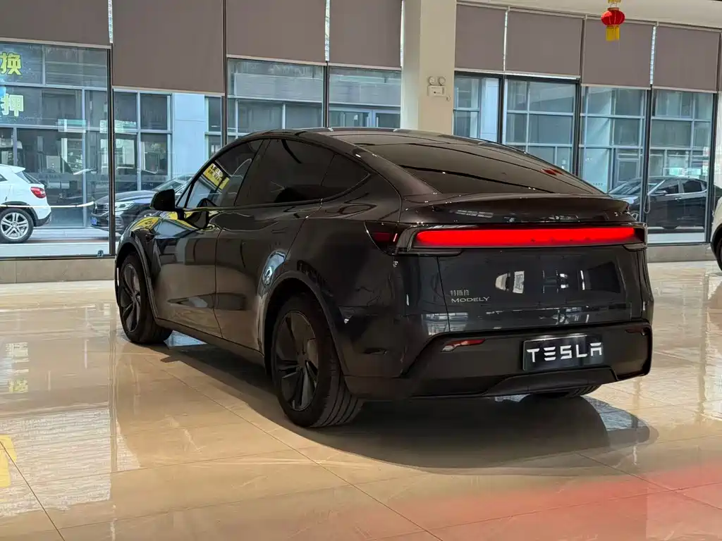 Tesla Model Y — миниатюра 10