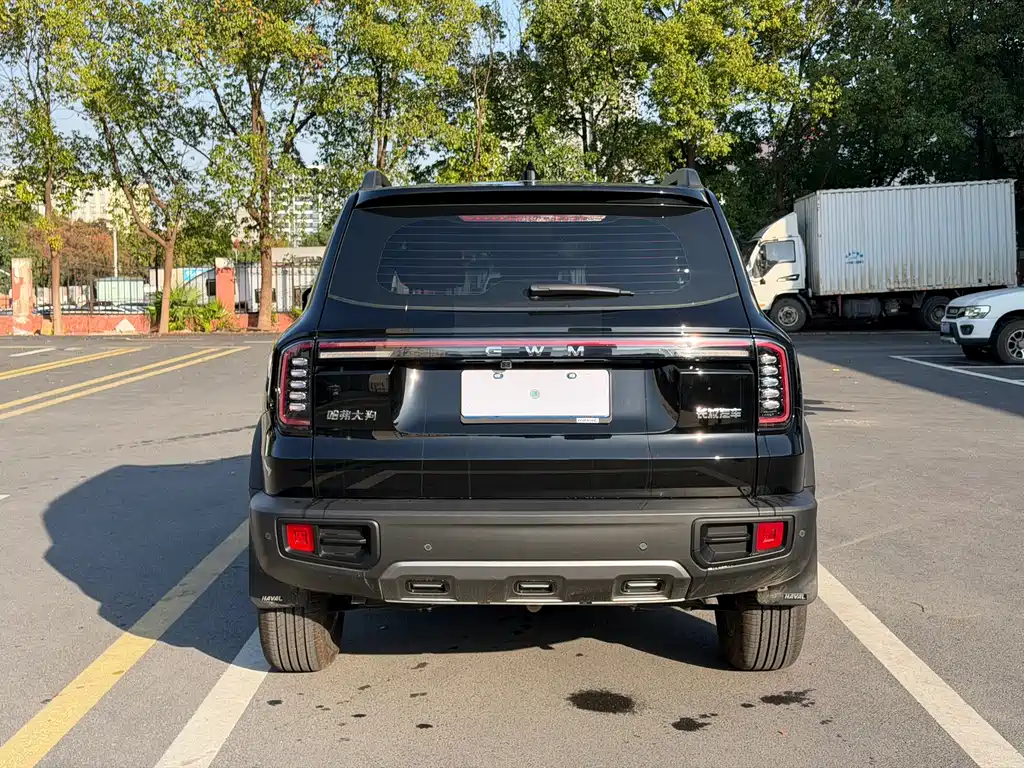 Haval Big Dog — миниатюра 17
