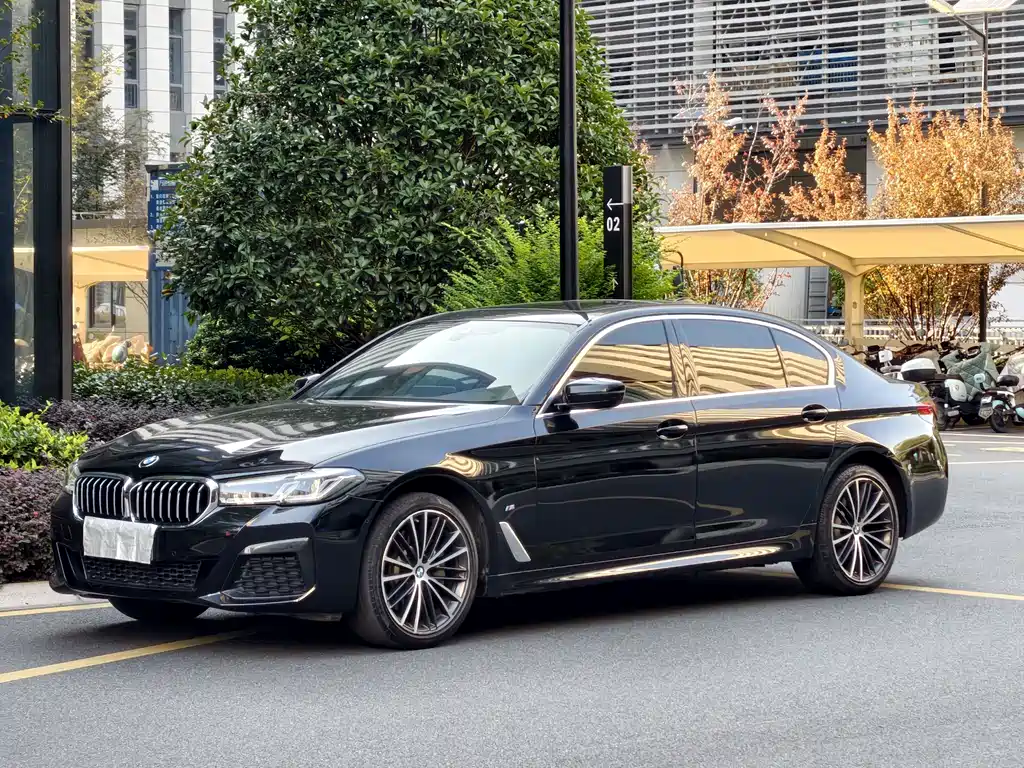 BMW 5 Series — миниатюра 12