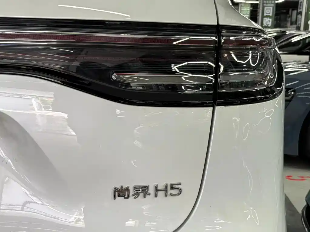 Сангтан Sangtang H5 — миниатюра 16