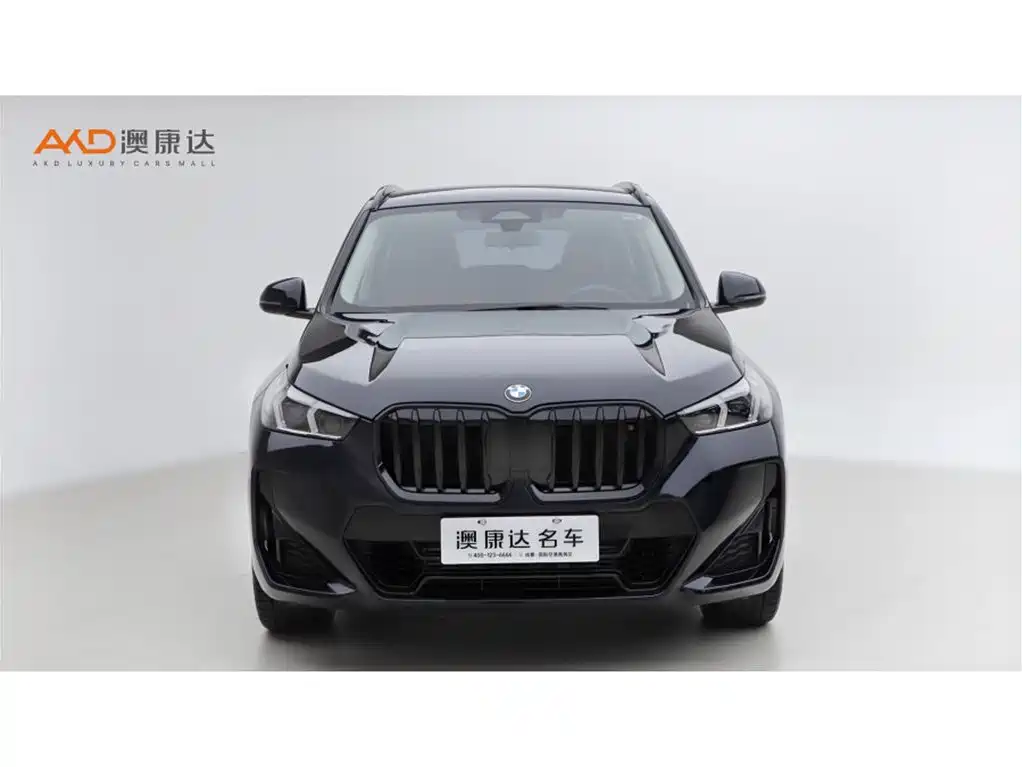 BMW X1 — миниатюра 2