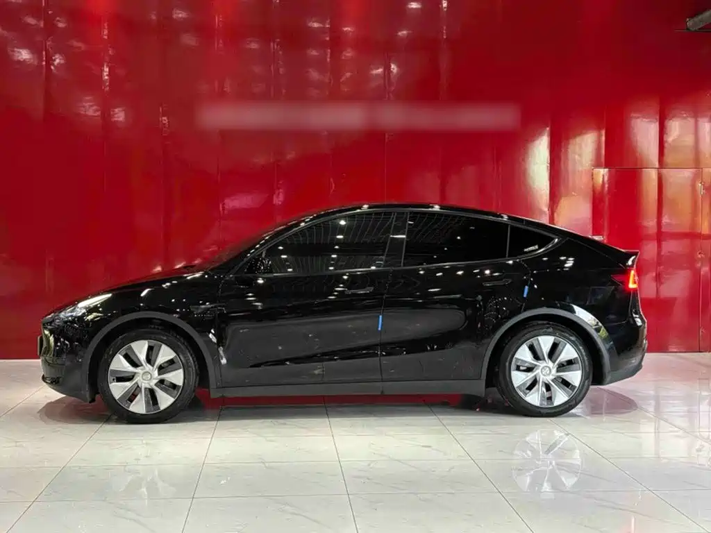 Tesla Model Y — миниатюра 3
