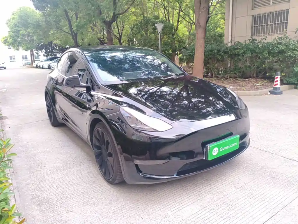 Tesla Model Y — миниатюра 4