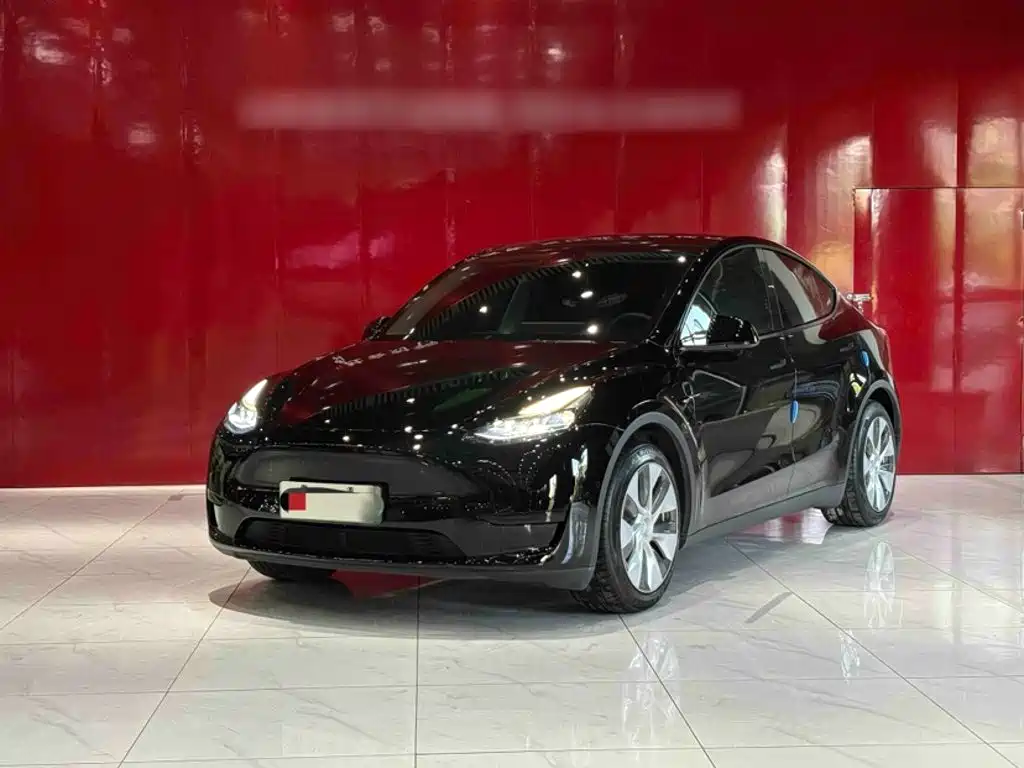 Tesla Model Y — миниатюра 2