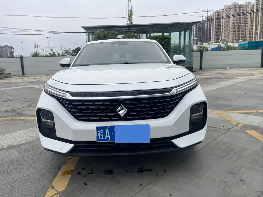 BAOJUN RC 5