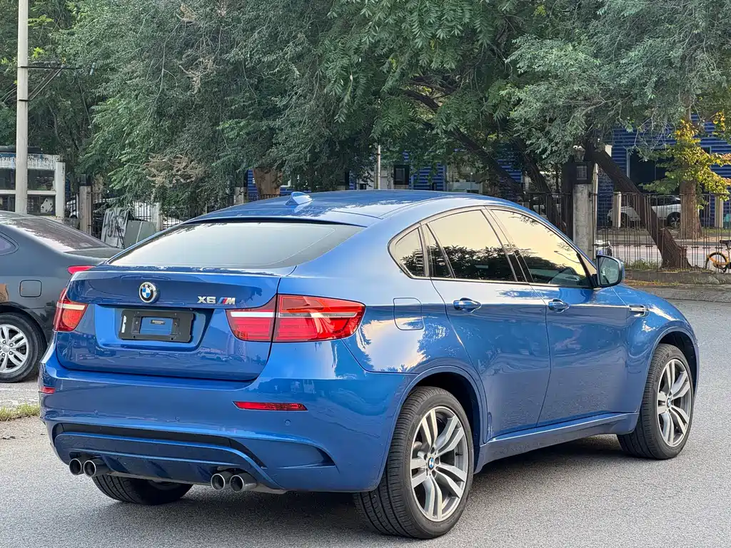 BMW X6 M X6 M, фото 4