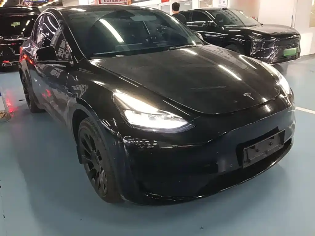 Tesla Model Y — миниатюра 4