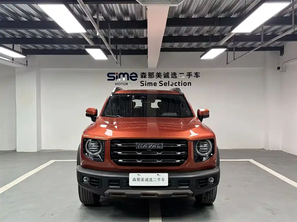 HAVAL BIG DOG